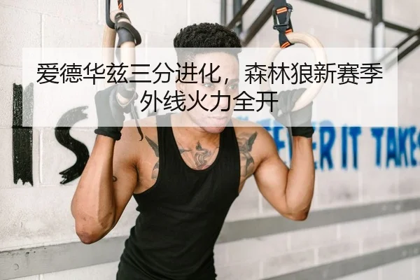 爱德华兹三分进化，森林狼新赛季外线火力全开